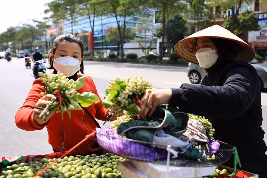 Hanoi filled with scent of grapefruit flowers -6