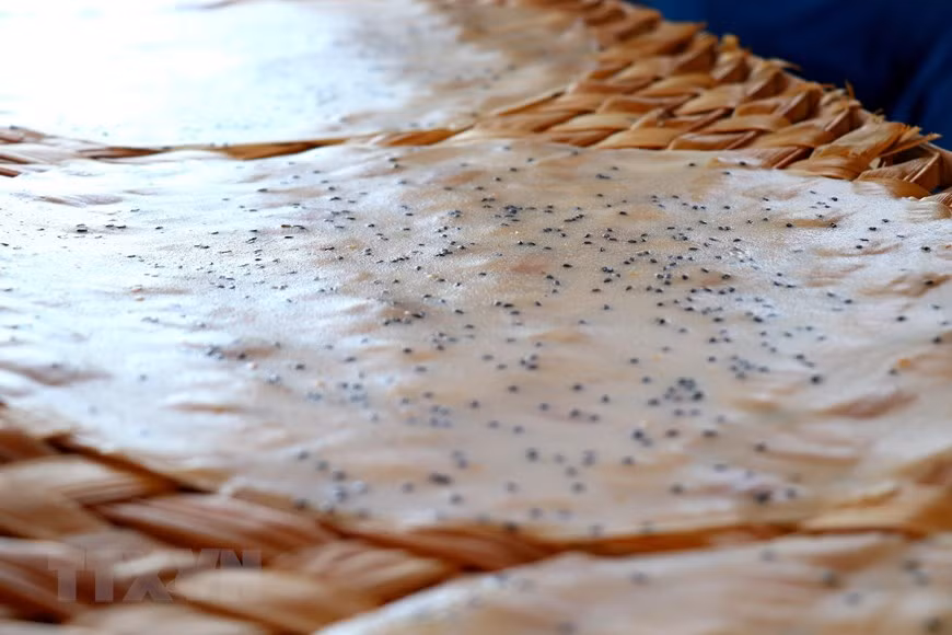 Thuan Hung - a special rice paper craft village -5