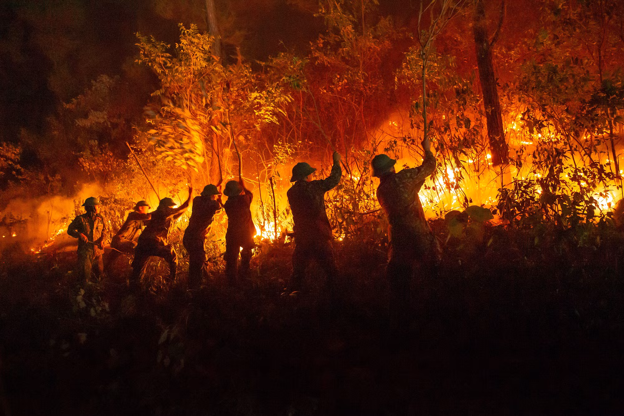 Winners of fire and rescue photo contest announced -7