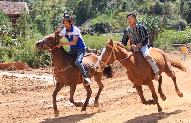 Special horse racing to take place in Da Lat -0