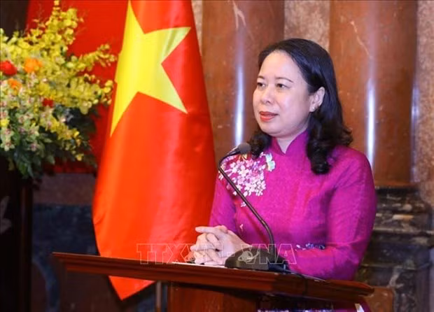 Vietnam, Mozambique see great potential for cooperation: Ambassador -0