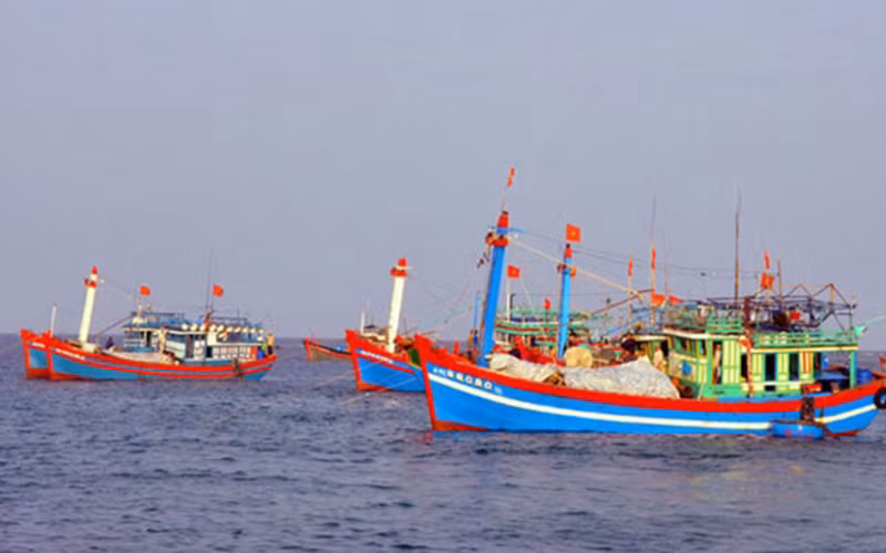 Vietnam Fisheries Society objects to China’s fishing ban in East Sea -0