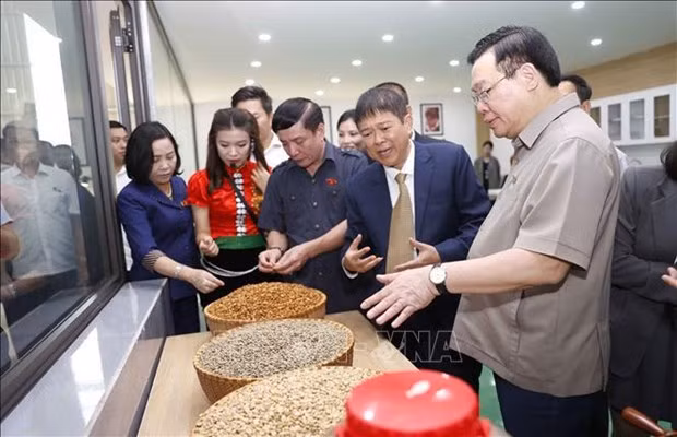 NA leader inaugurates coffee processing factory in Son La -0