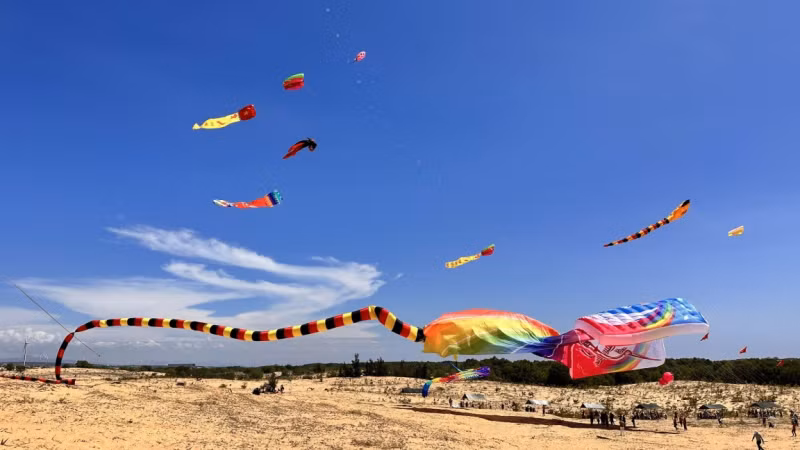 Binh Thuan to set Guinness record for Vietnam's largest kite -0