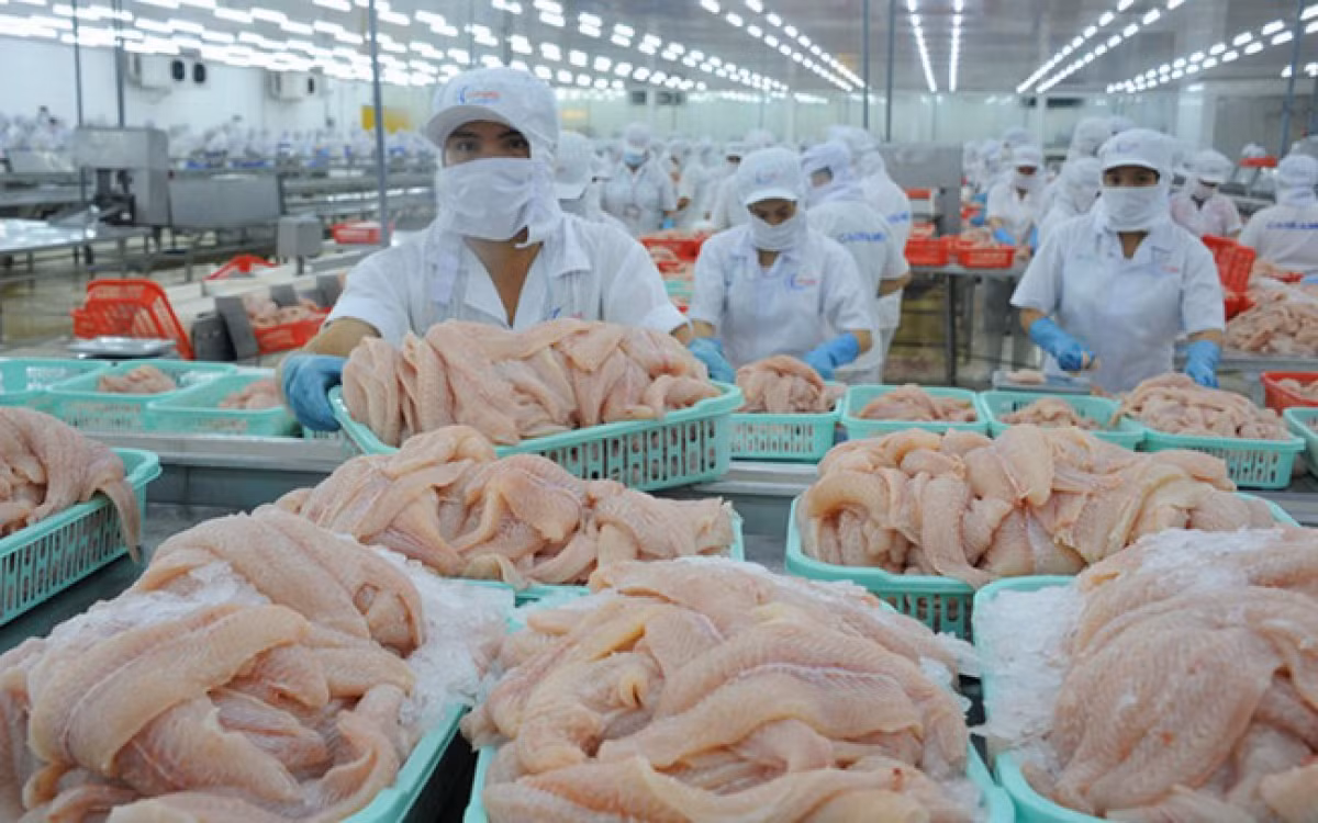 Pangasius exports to Germany witness double-digit growth -0