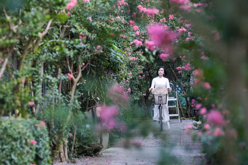 Multiflora rose park in Hanoi attracts young people -3