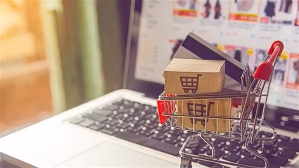 Webinar discusses e-commerce opportunities in Singapore, regional countries ảnh 3