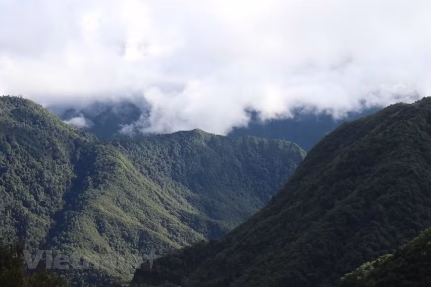 vnp_cau_may_1.jpg -1