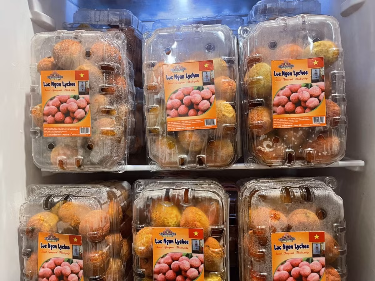 First batch of Vietnamese fresh lychee arrives in UK -0