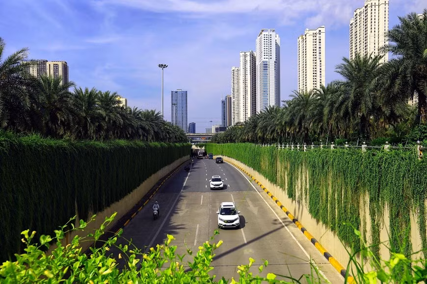 In this underground tunnel, there are creeper plants trees with numerous layers creating eye-catching greenery.