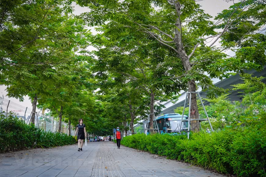 A new tree-lined walkway in Cau Giay.