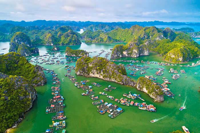 1_vinh-1679704891007.jpg -0
