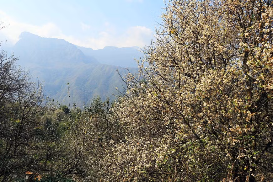 5.jpg -4