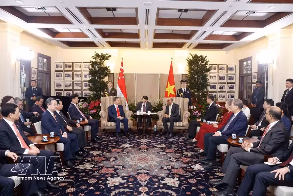 The talks between Party General Secretary and State President To Lam and Singaporean President Tharman Shanmugaratnam on May 29. (Photo: VNA)