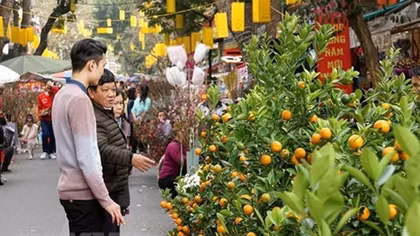 Foreign diplomats extend Tet greetings to Vietnamese people