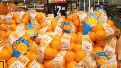 Australia promotes orange trademark in Vietnam