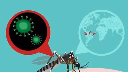 Zika infection case in Japan is not Vietnamese