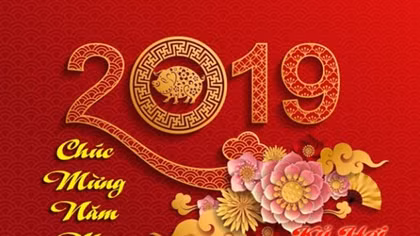Vietnamese work together towards goals set for 2019