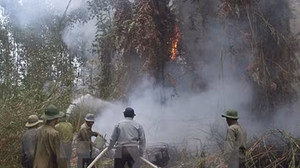 Central Highlands region works to prevent dry-season forest fire