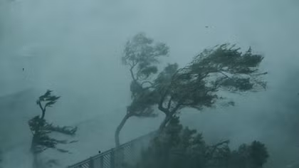 Typhoon Mangkhut wrecks havocs in its way