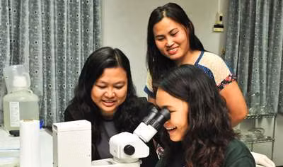 Vietnam Scholars Win Four U.S. Scientific Research Awards