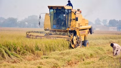 ASEAN ministers to adopt 23 action plans for agriculture and forestry development