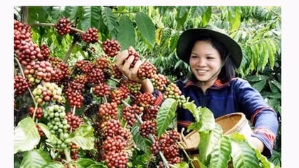 Changes brew in coffee industry