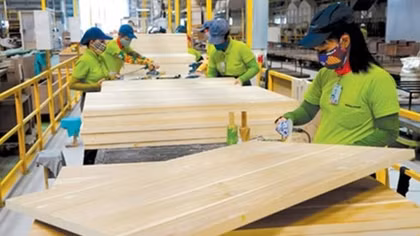 Forestry exports estimated to exceed US$5.8 billion in 8 months