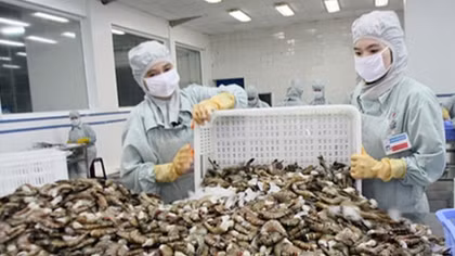 FTAs drive Vietnam-Australia trade ties to new heights