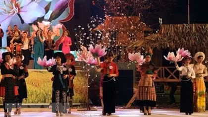 Ban flower festival to feature various activities