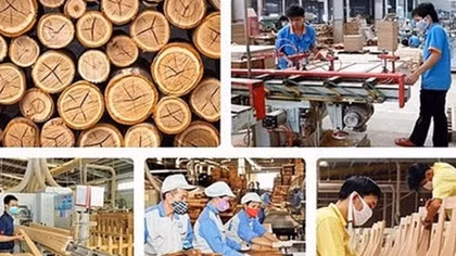 Vietnam looks to boost timber exports to EU