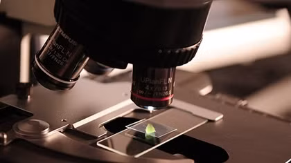 Scientists Invent Method to Turn CO2 Into Solid Carbon – Report