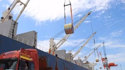 Automated customs management system to be fully deployed