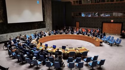 Vietnam well positioned to fulfil role in UN Security Council: veteran diplomat