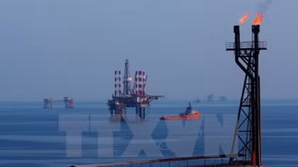 Vietsovpetro taps 5.04 million tonnes of crude oil this year