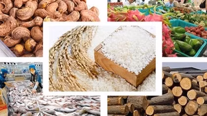 CPTPP to advance Vietnamese farm produce’s foothold in global supply chain