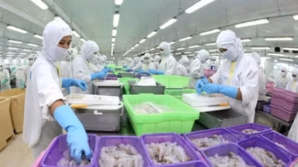Seafood exports roses by 18.1 percent in 8 months