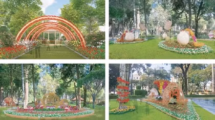 HCMC to host first ever orchids festival 