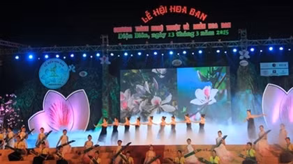 Ban Flower Festival 2017 opens in March next year