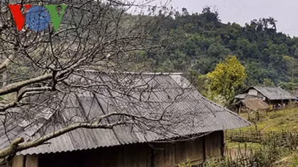 Spring in ethnic minority hamlets in Northwestern region