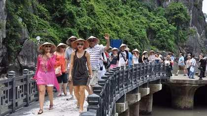Foreign visitors to Vietnam reach over 8 million