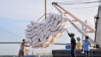 Exports to Algeria up 16%