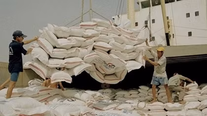 Custom watchdog tightens control over origin fraud of Vietnamese rice
