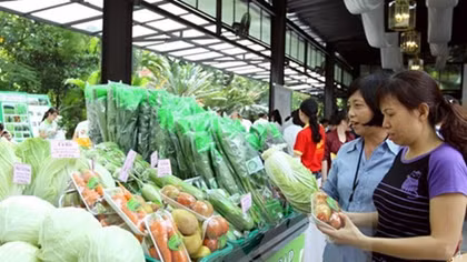 Global cold chain to grow 7% annually through 2020