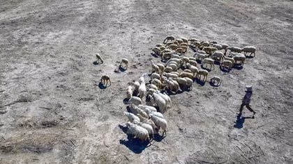 Ninh Thuan faces historic drought