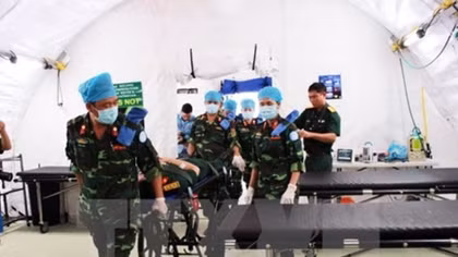 UN commits to supporting Vietnam in peacekeeping activities