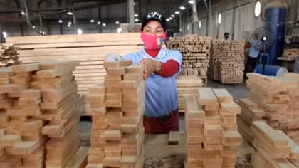 Wood exports expected to hit US$8.85 billion this year