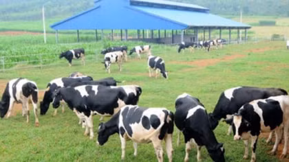 Decree designed to encourage investment in agriculture