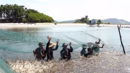Ca Mau province rolls out red carpet for investors