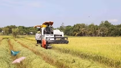 Australian businesses remain keen on Vietnamese agricultural technology